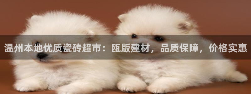 杏鑫平台代理怎么做