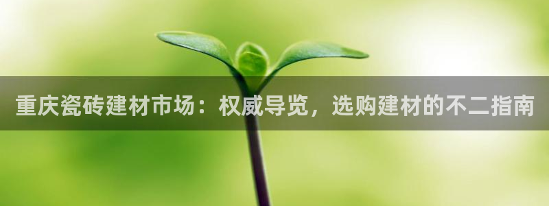 杏鑫官网最新信息新闻