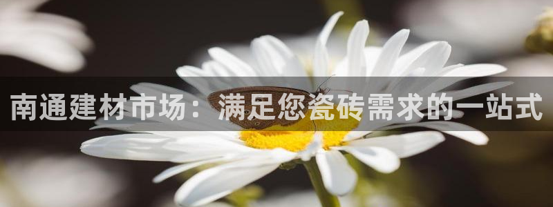 杏鑫平台直属哪个公司