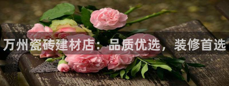 杏鑫平台招商电话号码查询