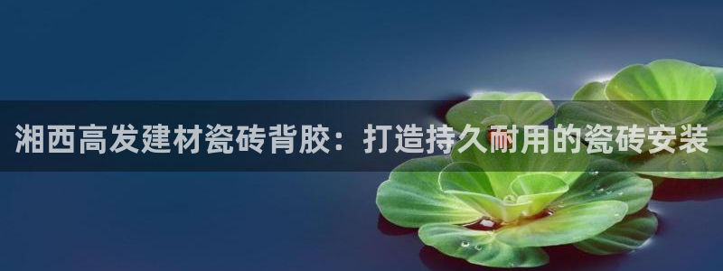 杏鑫平台平台娱乐