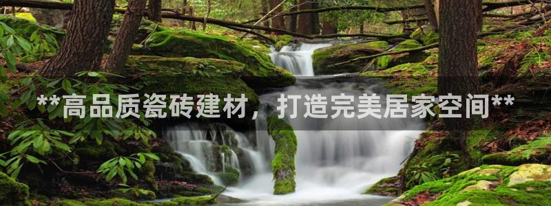 杏鑫平台代理注册登录不了怎么办呀视频