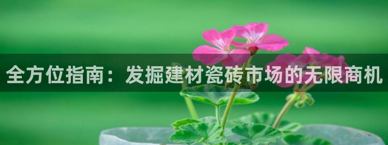 杏鑫平台测速怎么样