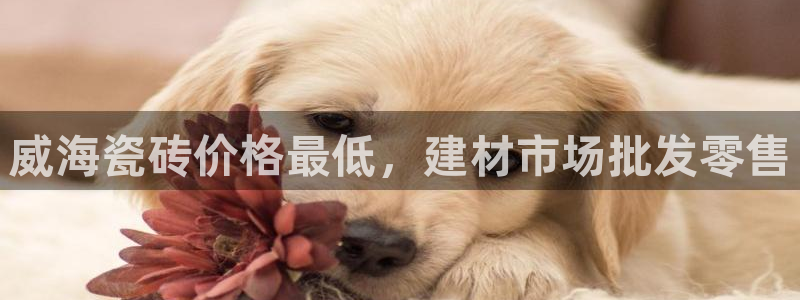 杏鑫平台代理怎么样可靠吗