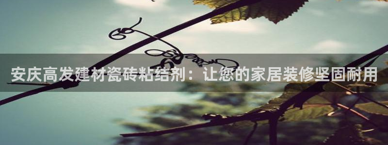杏鑫娱乐是合法的吗?