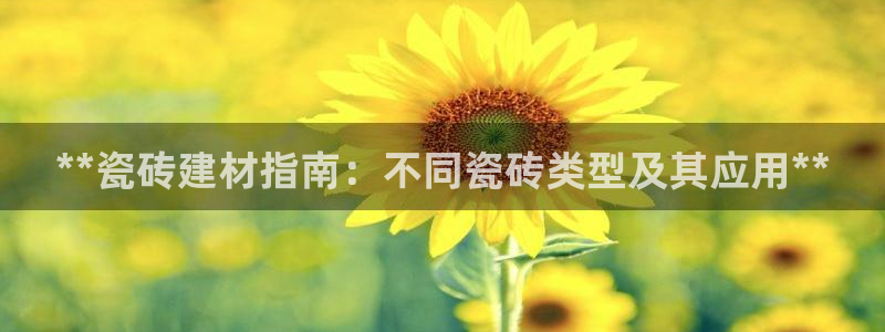 杏鑫平台正规吗