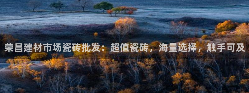 杏鑫代理注册资金多少