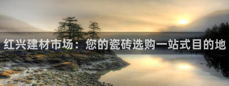 杏鑫代理注册
