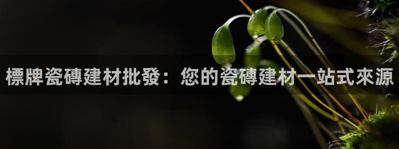 杏鑫平台是黑平台吗