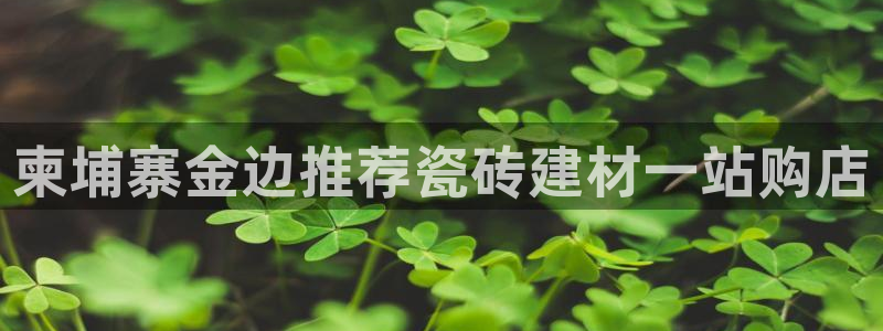杏鑫平台注册入口