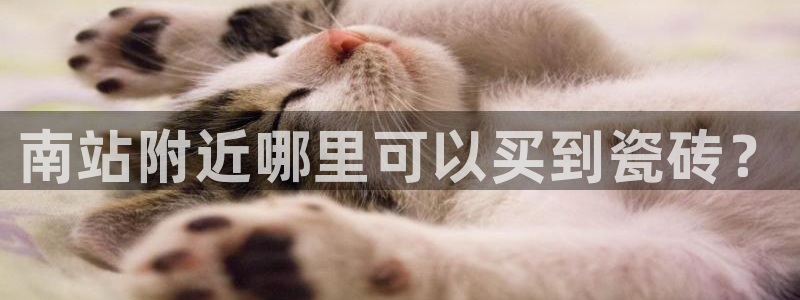 杏鑫平台代理怎么样