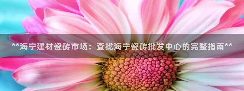 杏鑫平台登录地址