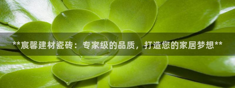 杏鑫平台招商电话号码