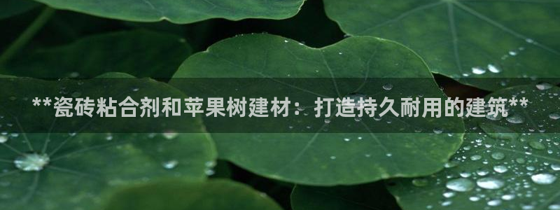 杏鑫官方app代理
