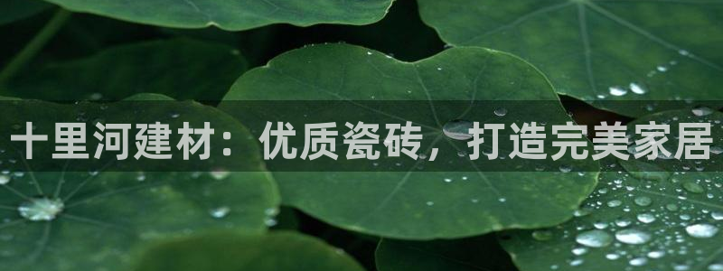杏鑫平台登录地址