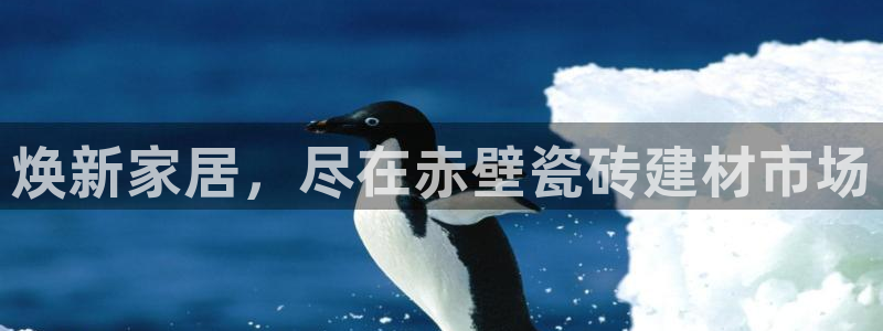杏鑫平台代理注册多少钱啊