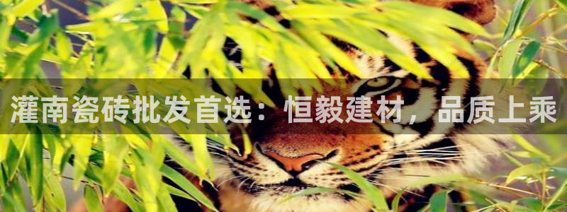 杏鑫娱乐是真的吗还是假的