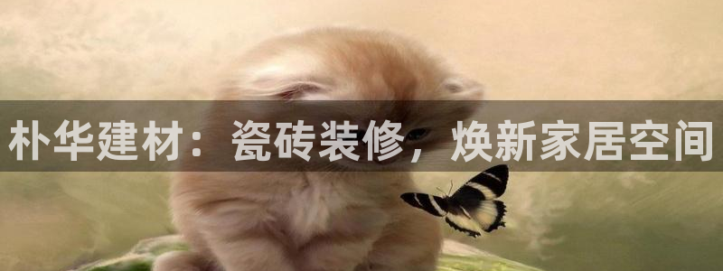 杏鑫平台注册登录