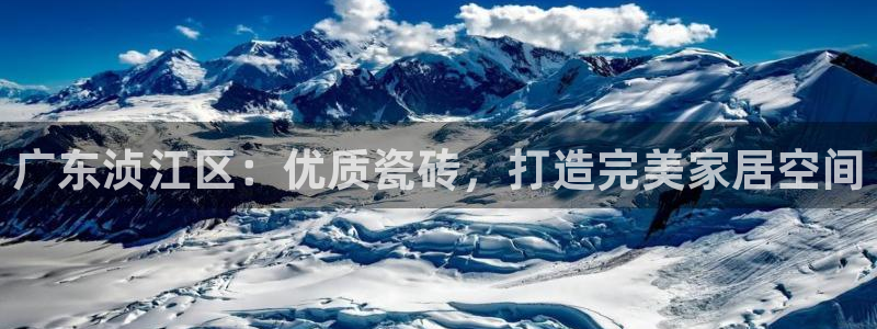 杏鑫有亏损返点吗
