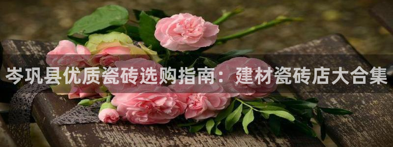 杏鑫平台注册入口在哪里找