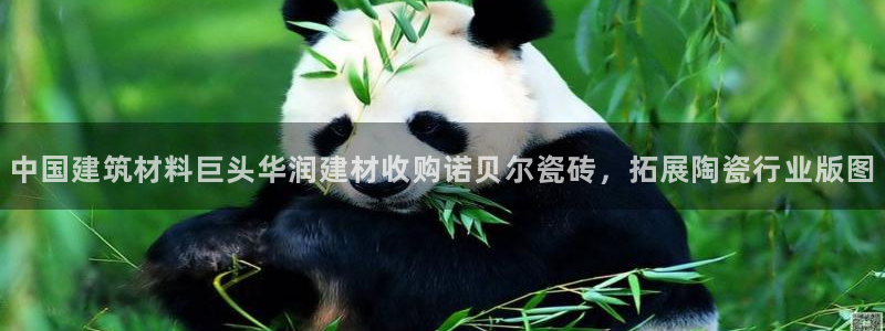 杏鑫注册登录网址是什么