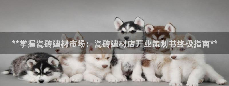 杏鑫官网最新信息