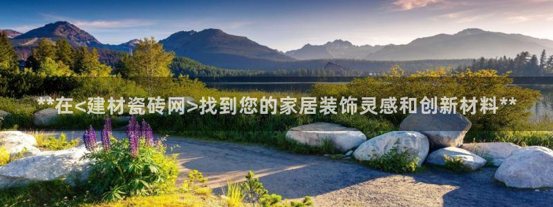 杏鑫官网最新信息新闻报道