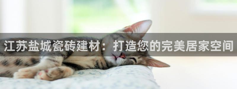 杏鑫平台注册网址查询