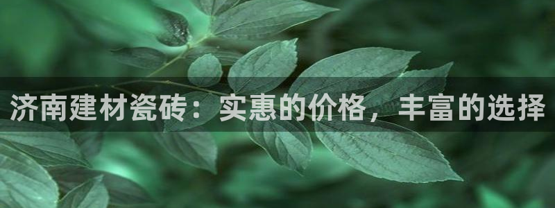 杏鑫平台平台娱乐