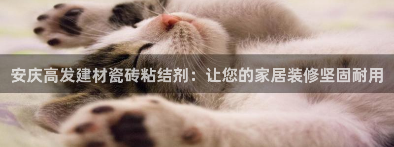 杏鑫娱乐测速