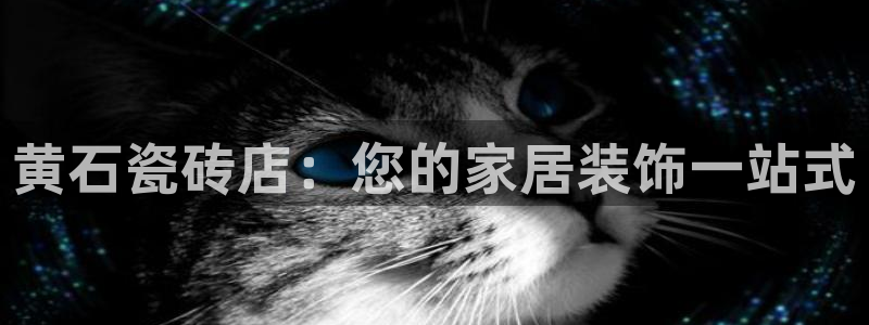 杏鑫平台代理注册登录不了怎么办呀视频