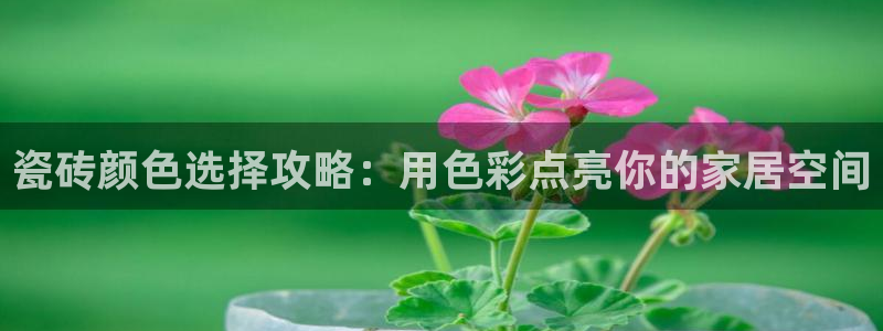 杏鑫平台代理怎么做