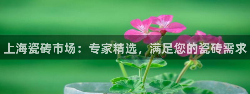 杏鑫娱乐是合法的吗?
