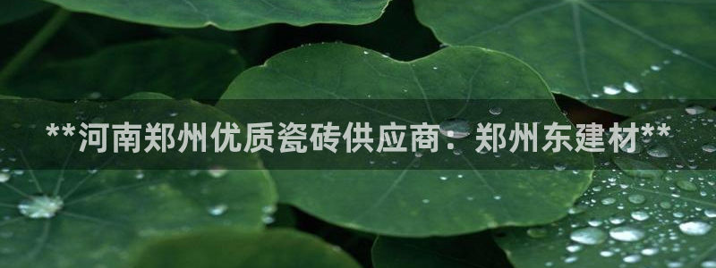 杏鑫平台平台娱乐怎么样