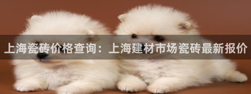 杏鑫平台靠谱吗