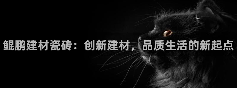 杏鑫娱乐官方网站客户端登录