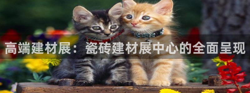 杏鑫平台注册入口在哪