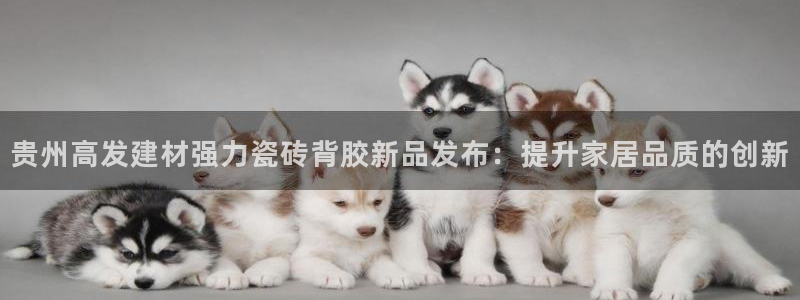杏鑫娱乐开发团队