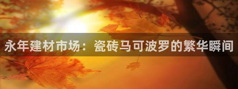 杏鑫官方平台怎么样啊知乎