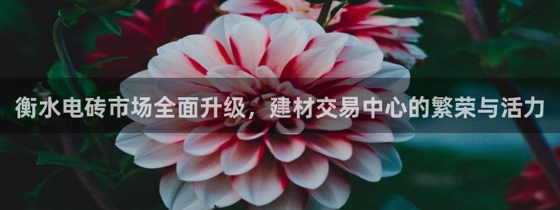 杏鑫平台平台娱乐怎么样