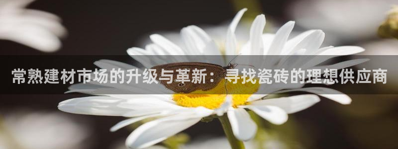 杏鑫官方平台怎么样啊