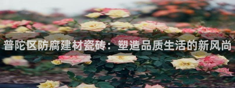 杏鑫平台招商电话是多少