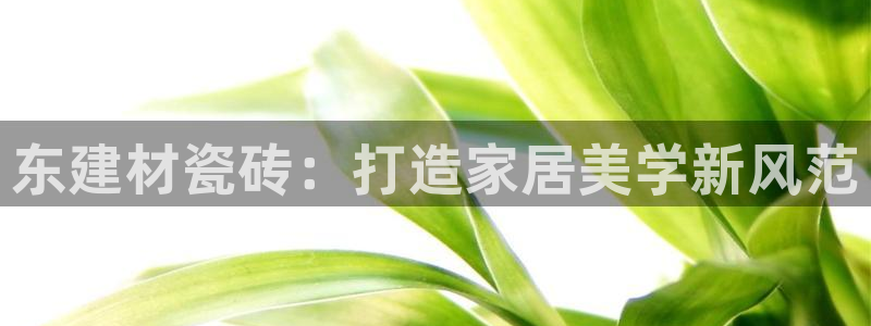 杏鑫平台靠谱吗