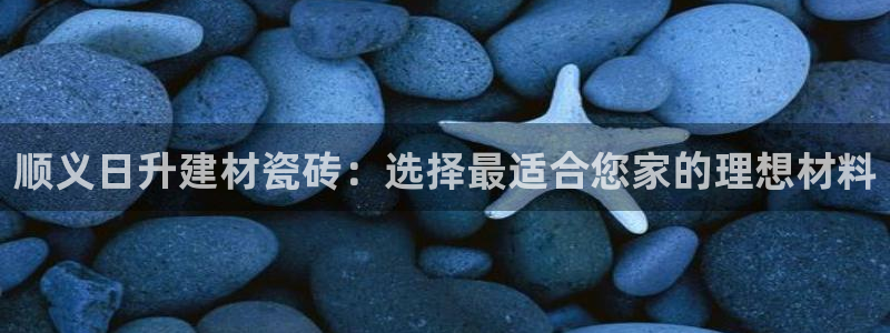 杏鑫娱乐官网下载