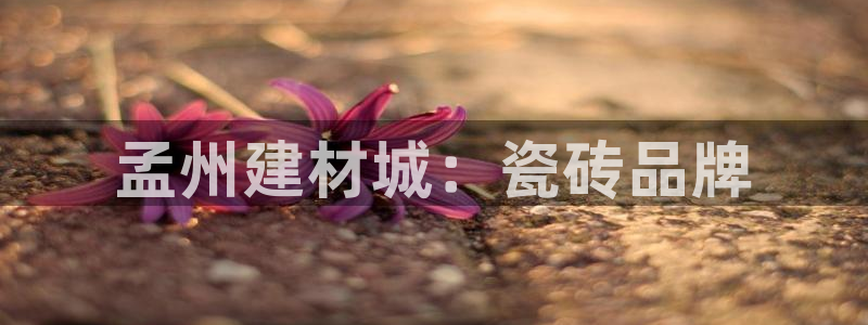 杏鑫娱乐怎么样