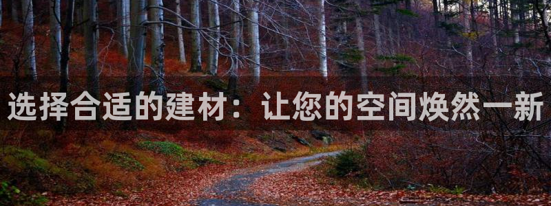 杏鑫平台代理注册流程视频