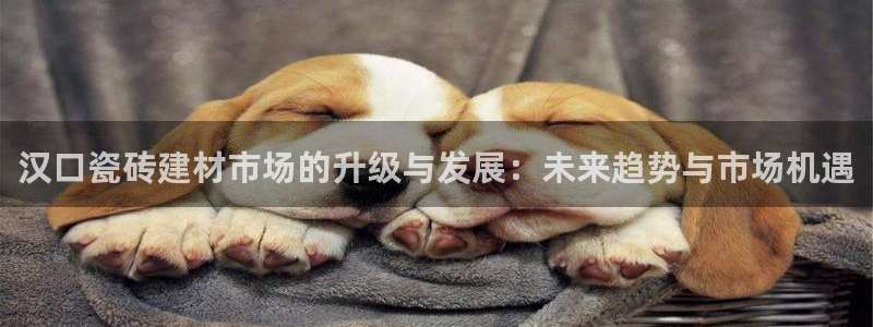 杏鑫平台注册网址是什么