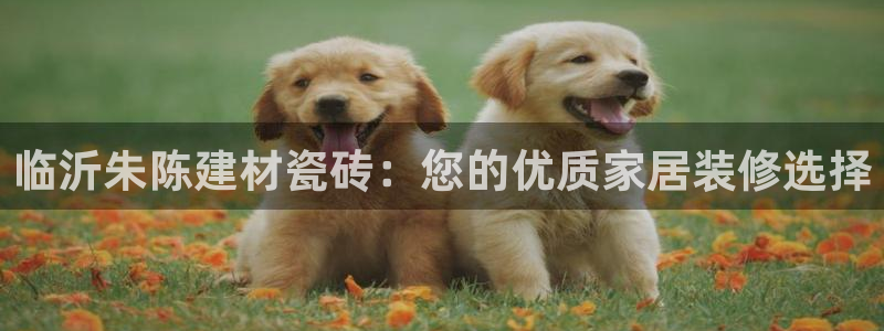 杏鑫平台号7O777