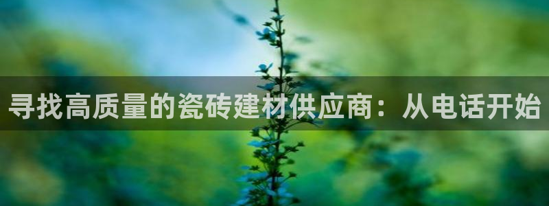 杏鑫娱乐开发团队