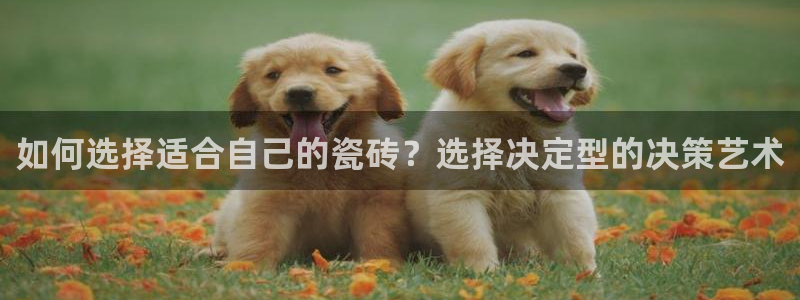 杏鑫官网最新信息新闻报道